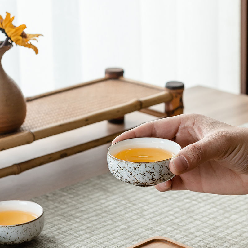 Portable Ceramic Tea Pot Set Travel Tea Set Handmade Kungfu Tea